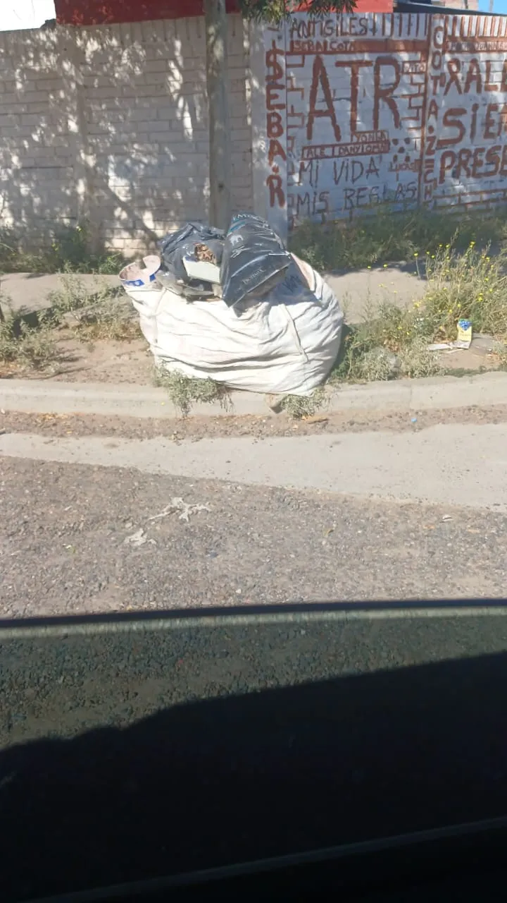 imagen_2025-02-25_123121006