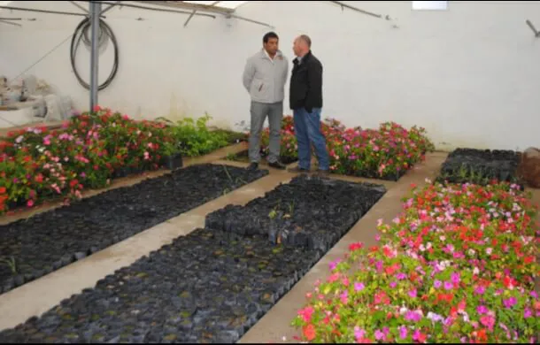 vivero
