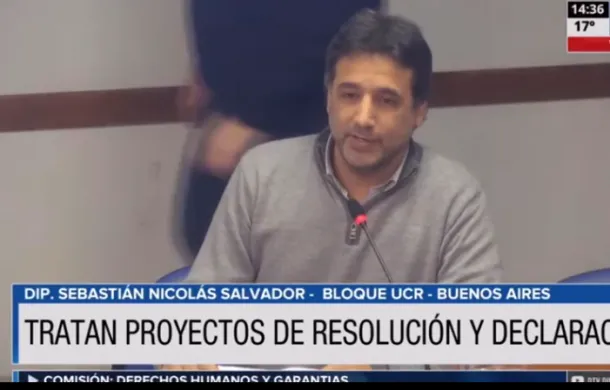 camara de diputados