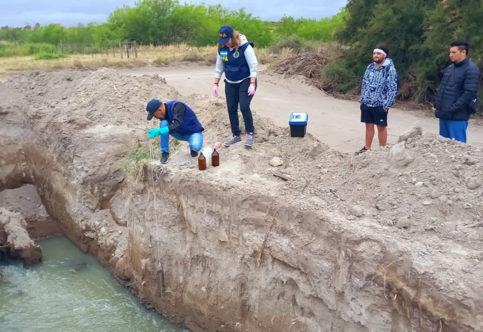 PLANTA DE LIQUIDOS CLOACALES, ALLANAMIENTO