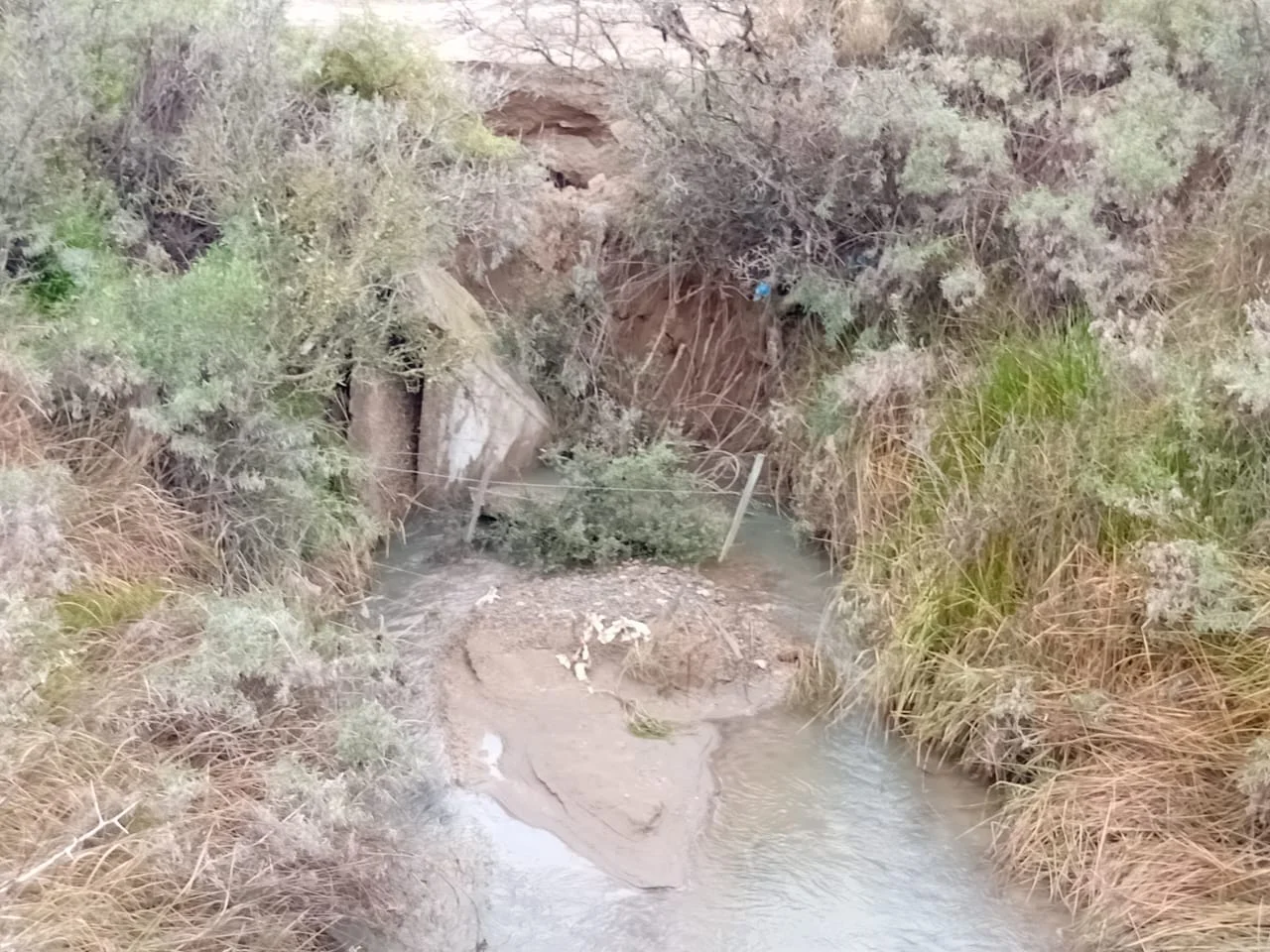 WhatsApp Image 2026-04-07 at 8.03.22 AM (1)