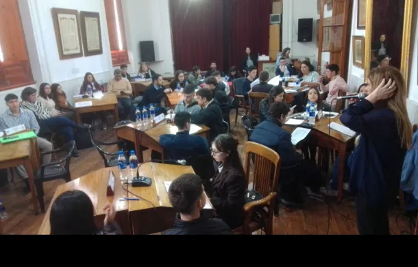 parlamento juvenil del mercosur