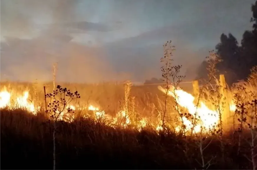 INCENDIO PASTIZALES
