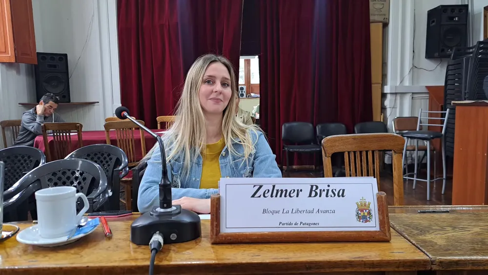 brisa zelmer