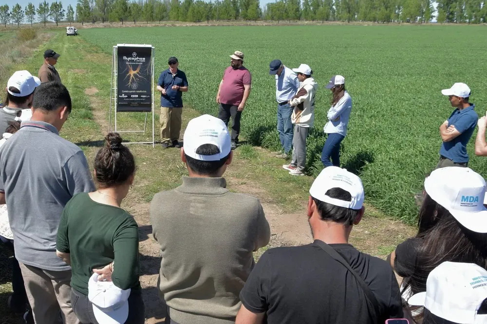 CORFO TRANQUERAS ABIERTAS