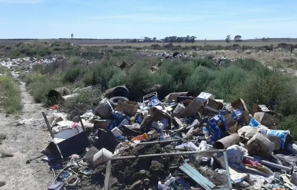 cardenal cagliero basural