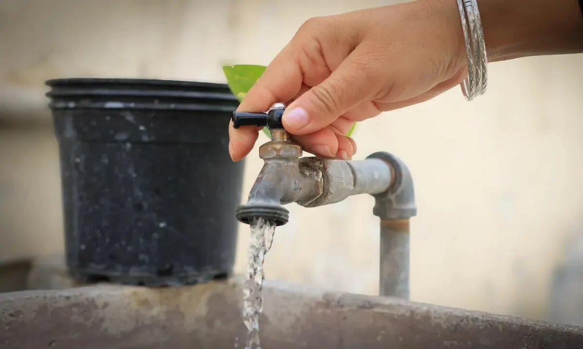 imagen_2026-01-10_002434724