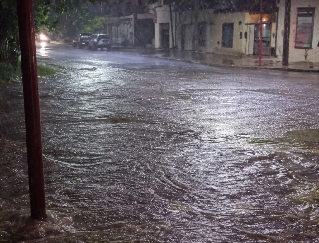 PATAGONES TEMPORAL