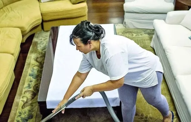 domestico