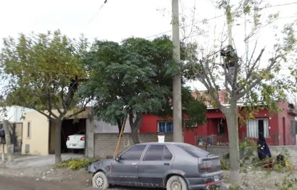 poda