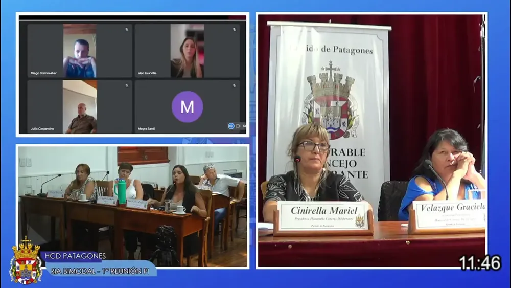 concejo deliberante