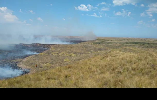 campos incendio