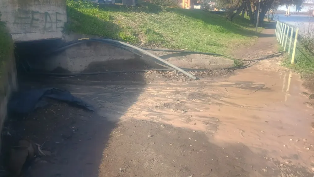 primera bajada