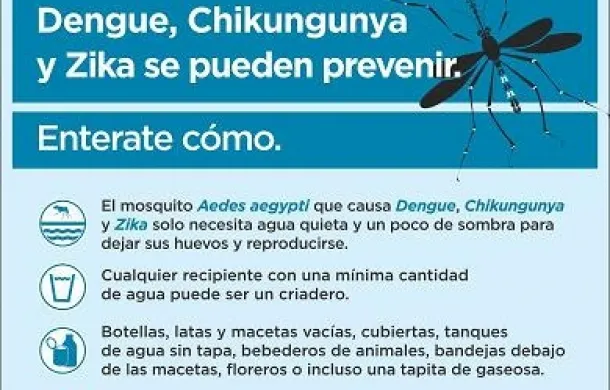 dengue