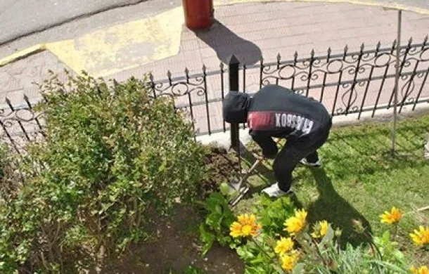 autoctonas plantas vivero