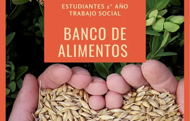 instituto de formacion docente banco de alimentos