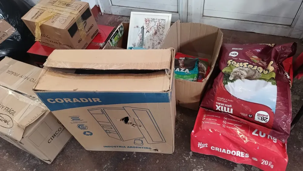 imagen_2025-03-10_221456318