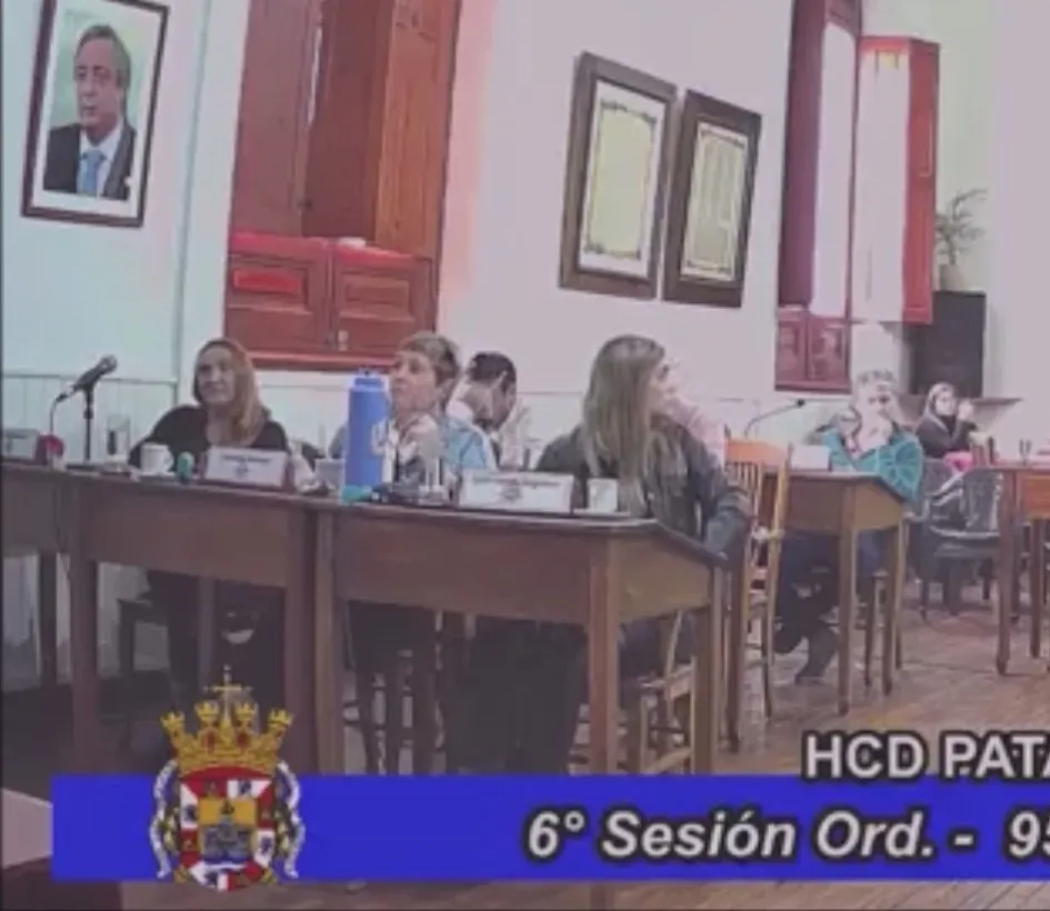 concejo deliberante