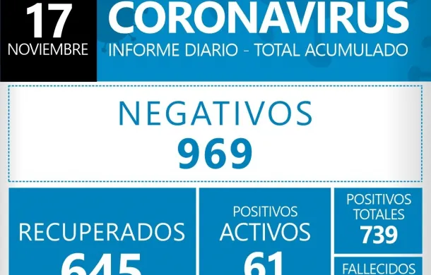 coronavirus covid-19 casos confirmados datos oficiales activos positivos