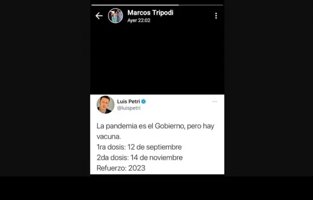 marco tripodi posteo elecciones