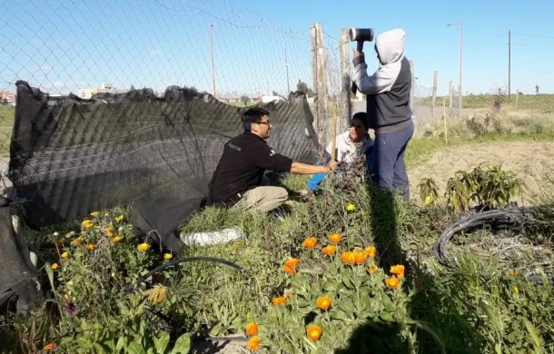 huerta talleres