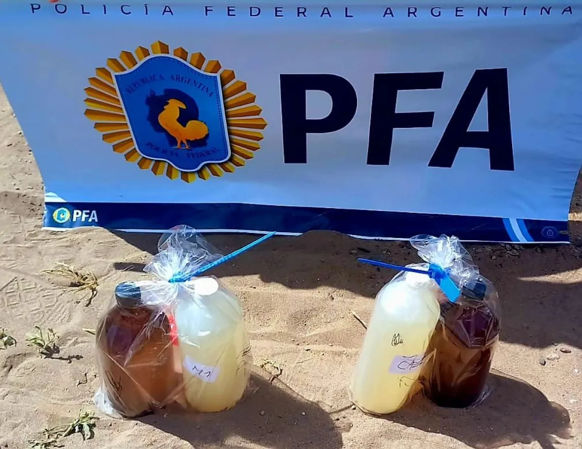 PLANTA DE LIQUIDOS CLOACALES, ALLANAMIENTO