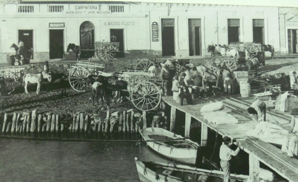 muelle-patagones