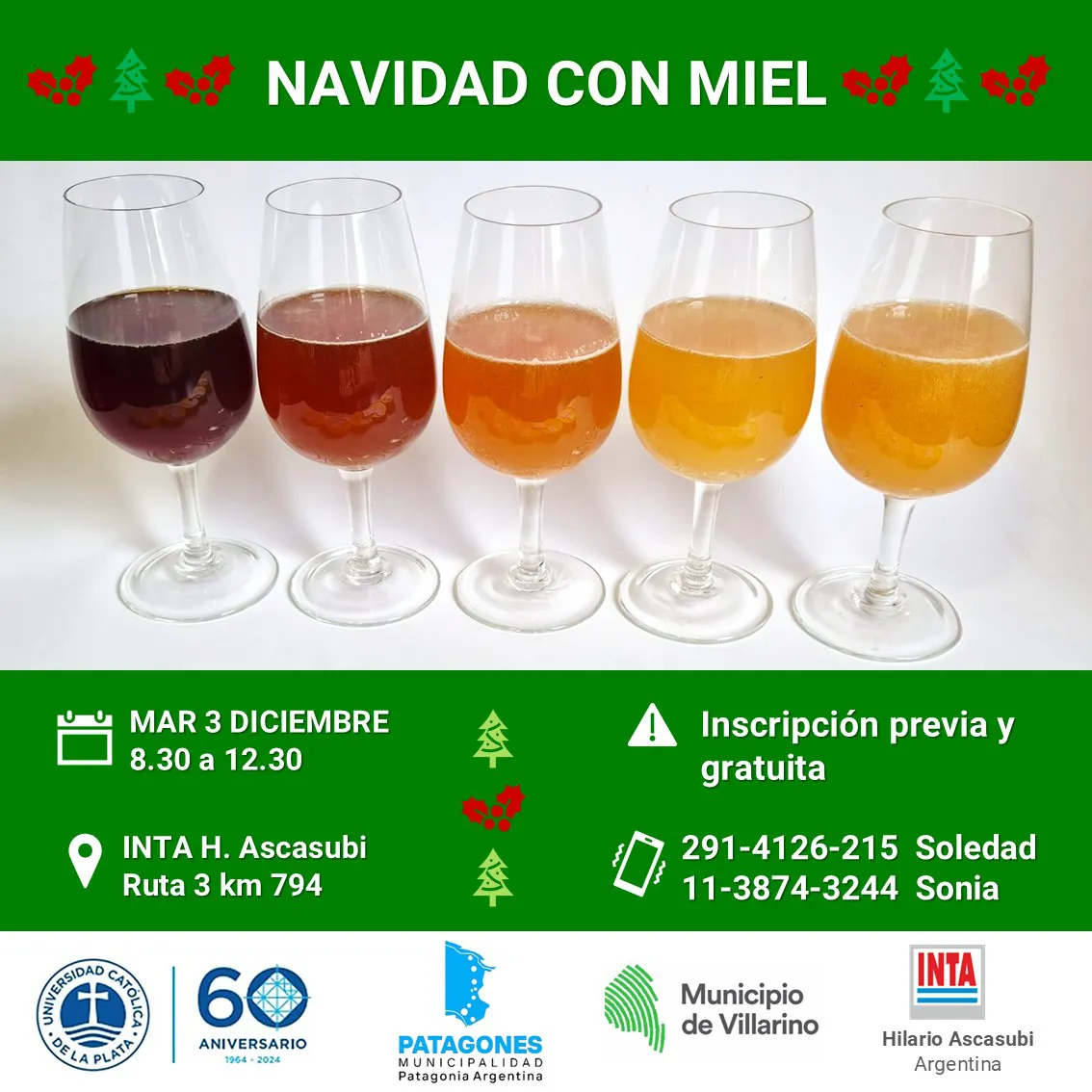 NAVIDAD CON MIEL
