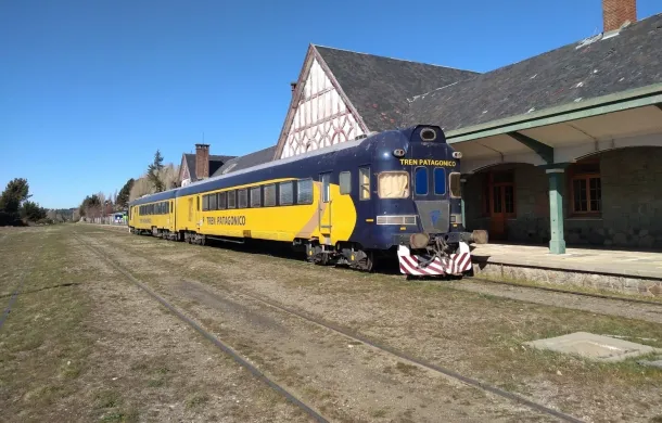 cenadif tren patagonico