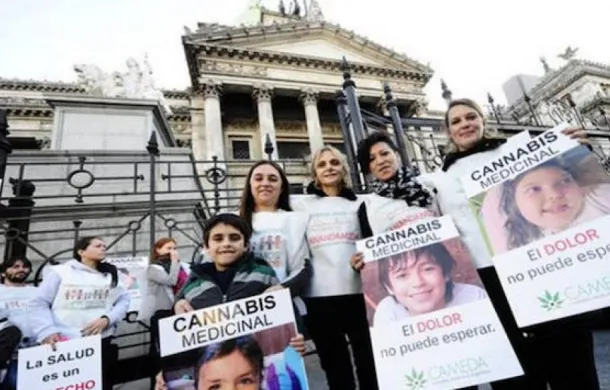 organizaciones cannabis