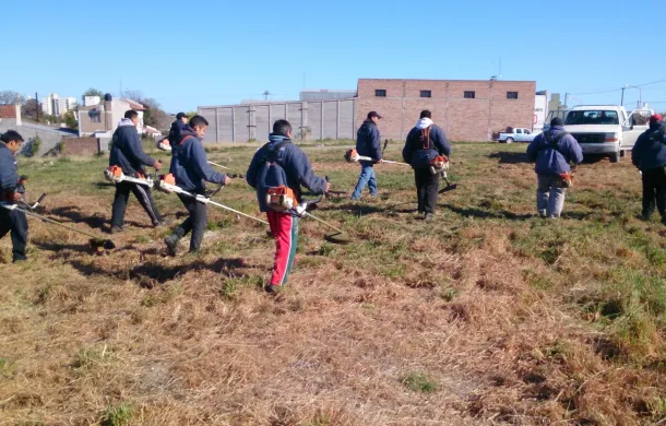 poda forestacion desmalezamiento