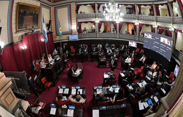 senado