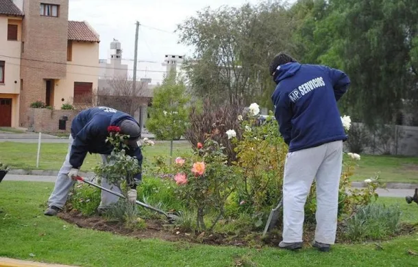 vivero