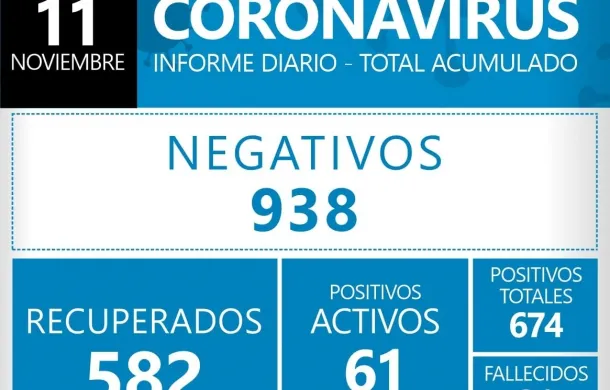 pandemia covid-19 coronavirus datos oficiales patagones