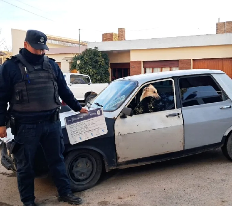 auto secuestrado