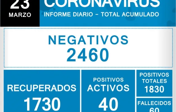 covid-19 pandemia patagones informe oficial