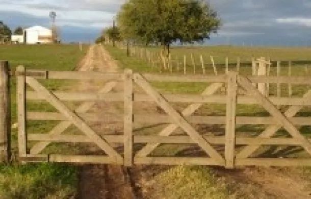 campo