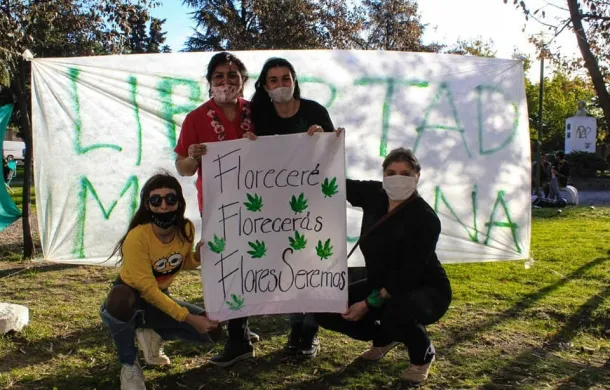 marihuana