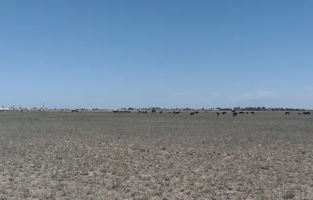 escuela spegazzini loteo