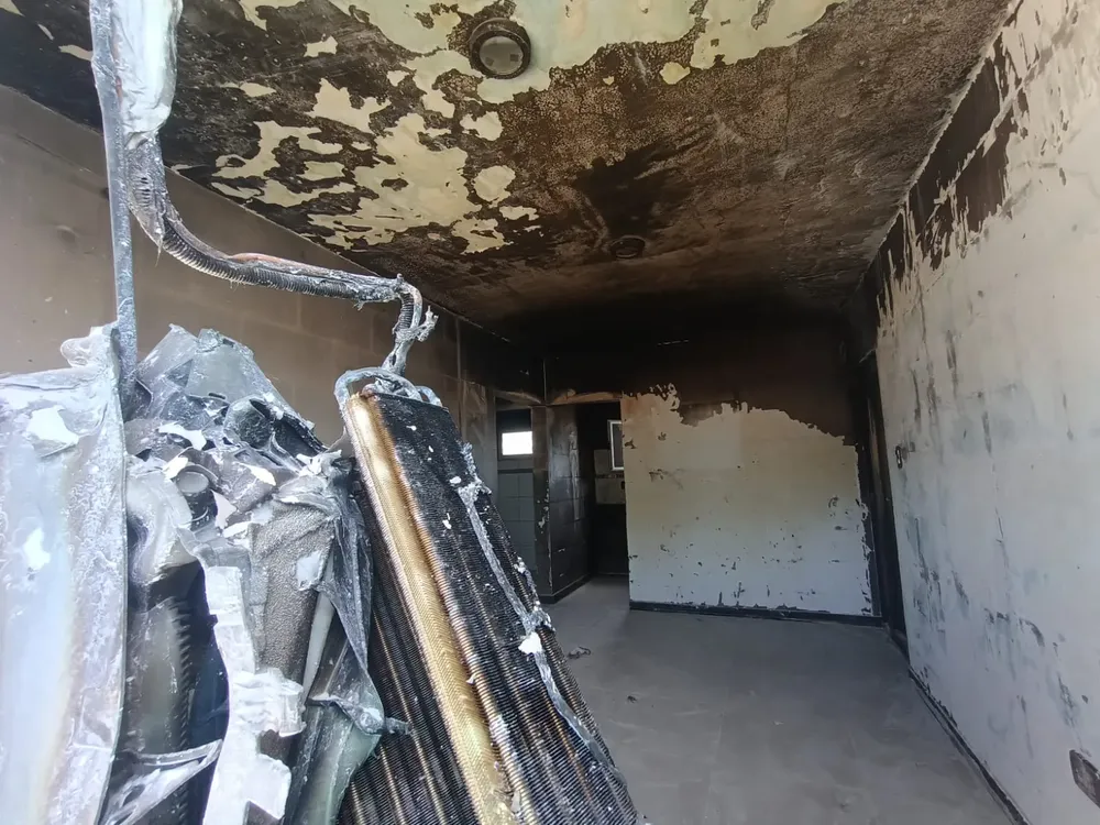 WhatsApp Image 2026-02-11 at 12.35.13 PM