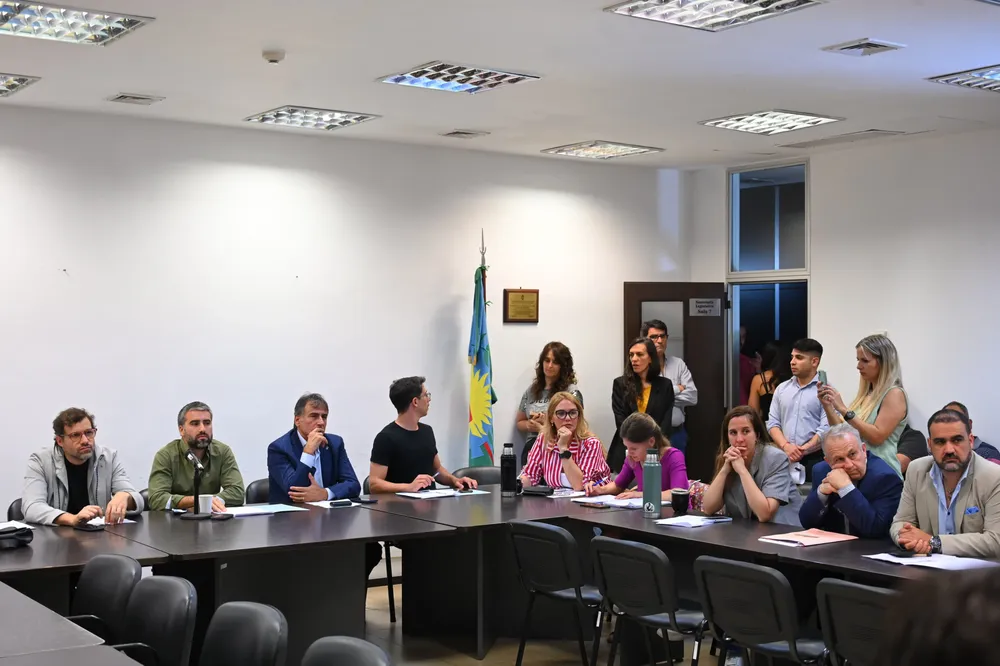 MARA DE DIPUTADOS, COMISION