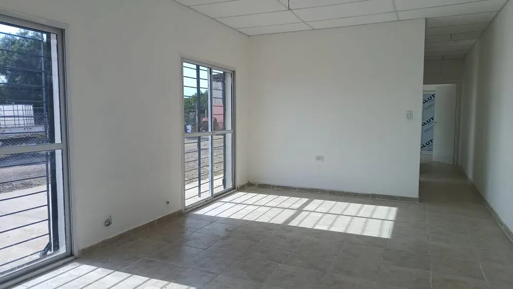 imagen_2025-03-28_121025794