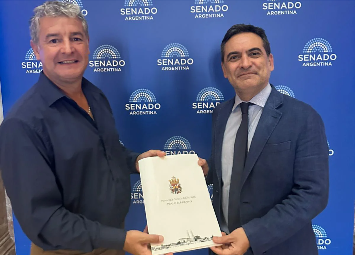 RICARDO ANGOS CAMINO AL BICENTENARIO SENADO