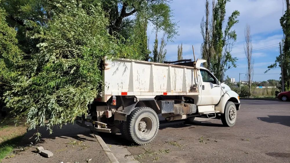 espacios verdes camion ramas