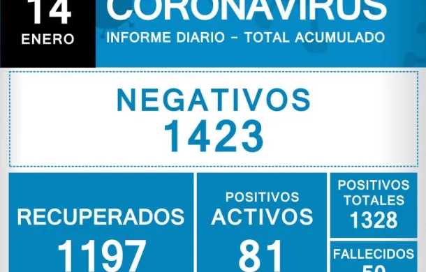 covid-19 oficiales patagones casos datos