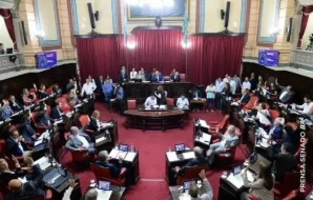 senado