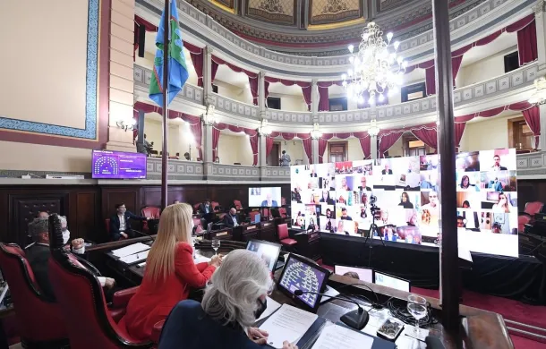 senado sesion virtual