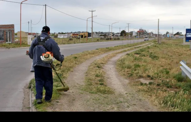 desmalezamiento patagones