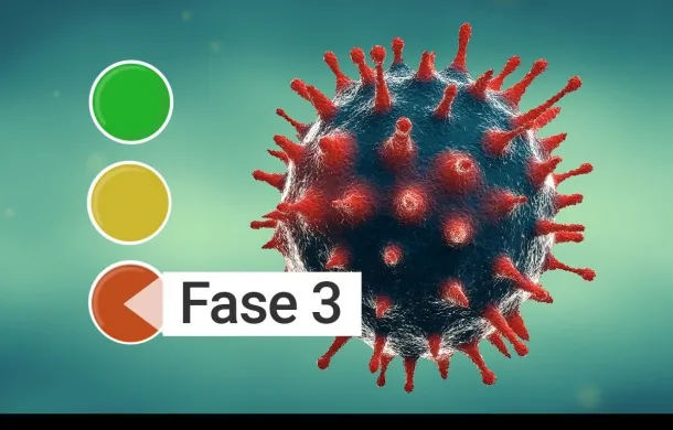 fase 3