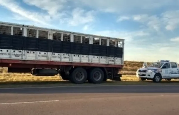 comando rural